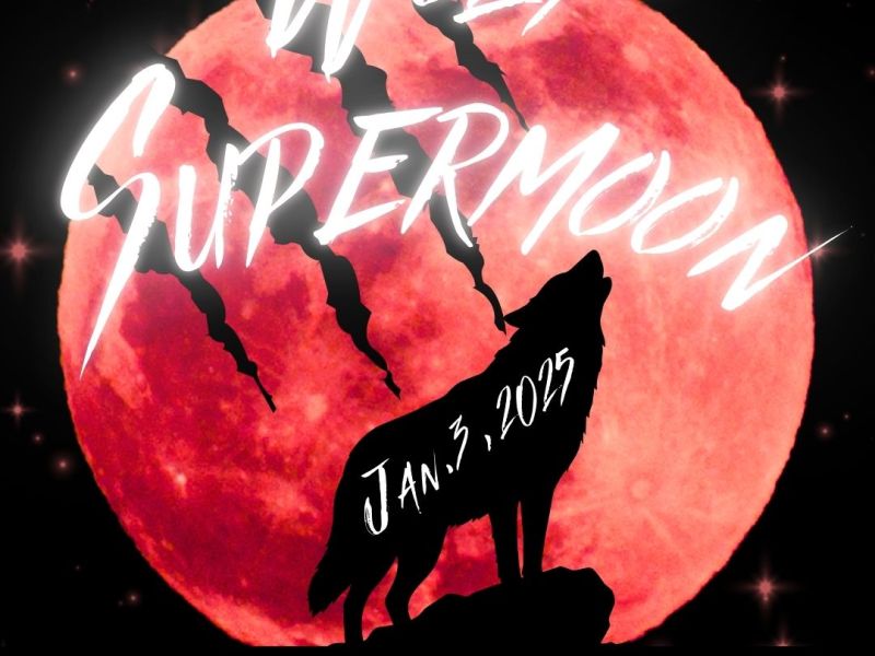 Wolf Supermoon Exclusive